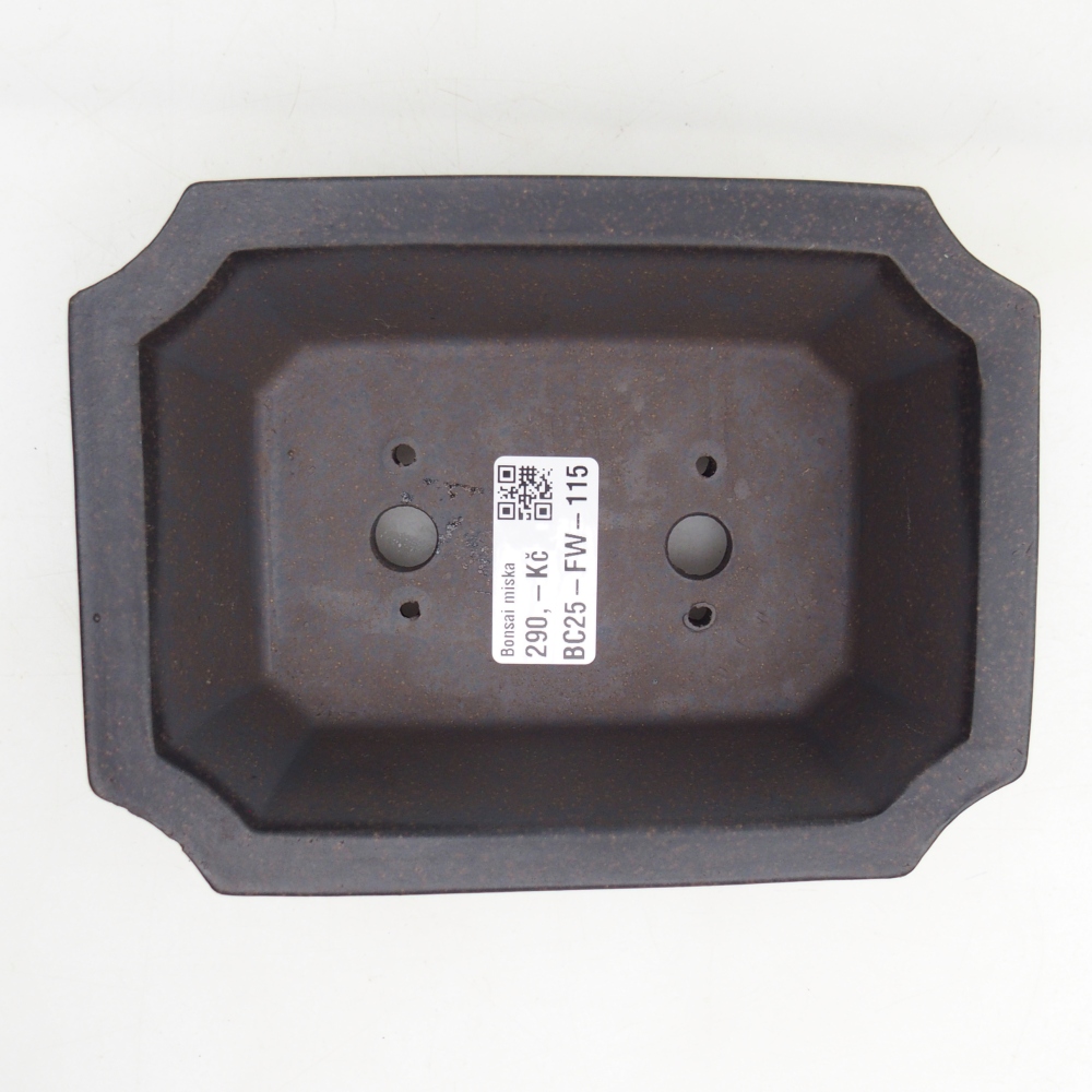 Bonsaischale aus Keramik 16 x 12 x 5 cm, bräunlich ocker