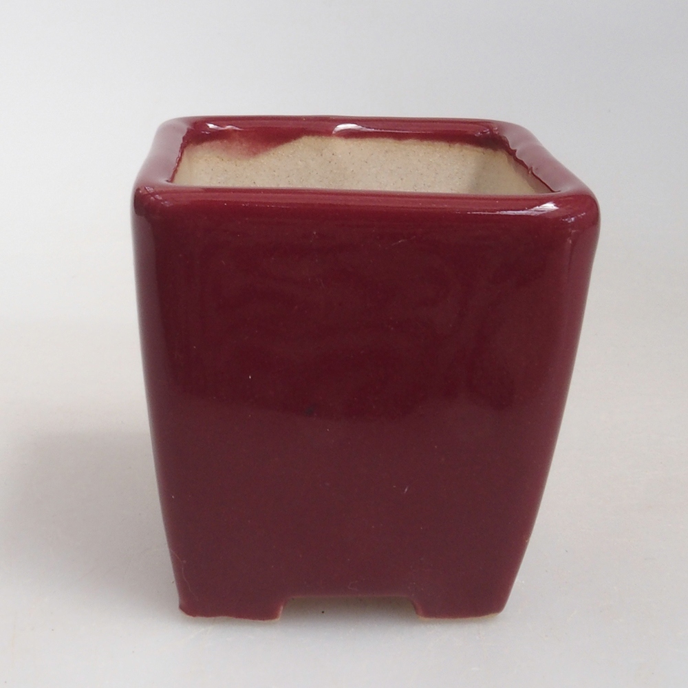 Mini-Bonsaischale 4,5 x 4,5 x 4,5 cm, bordeauxrot