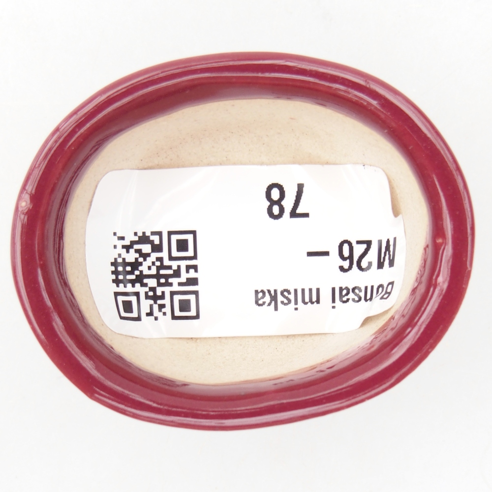 Mini-Bonsaischale 4,5 x 4 x 2 cm, bordeauxrot