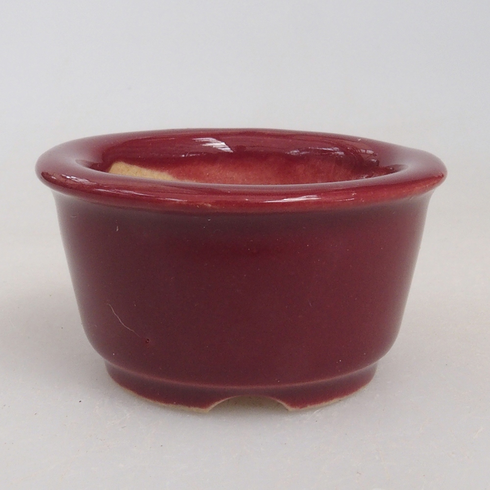Mini-Bonsaischale 4 x 4 x 2 cm, bordeauxrot
