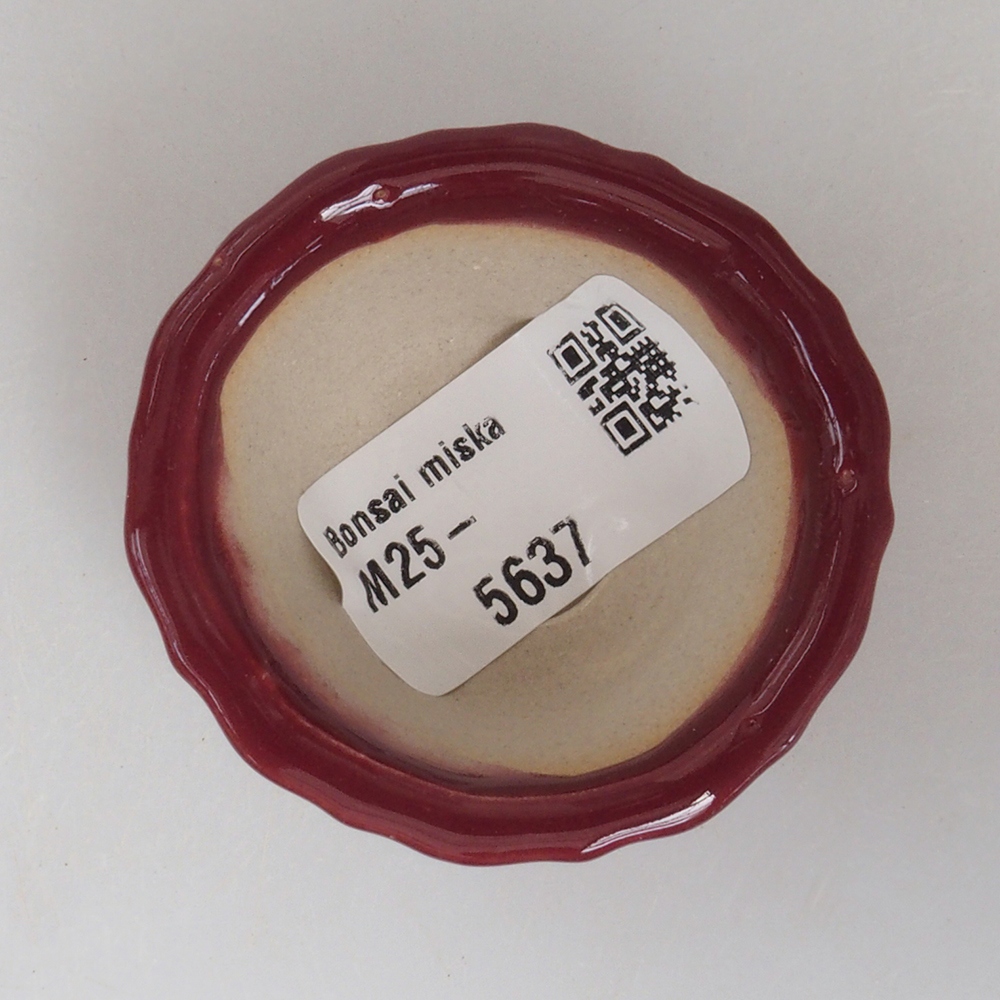 Mini-Bonsaischale 5 x 5 x 2,5 cm, Farbe burgunderrot