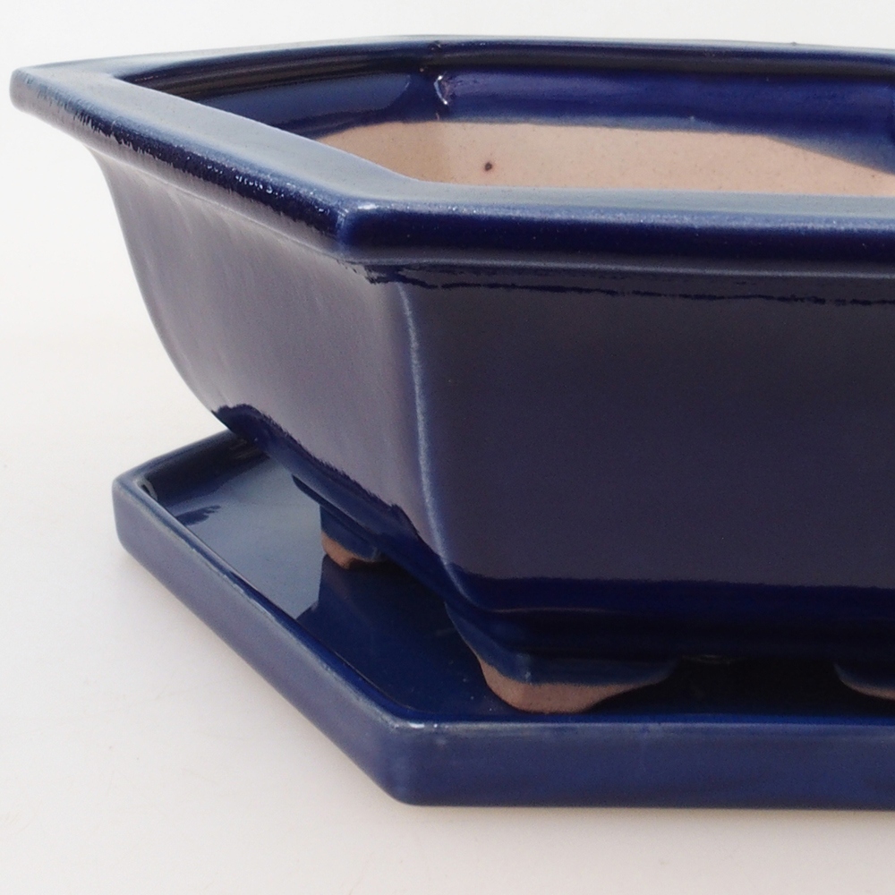Bonsaischale + Untertasse H53 - 19 x 21,5 x 7 cm - blau