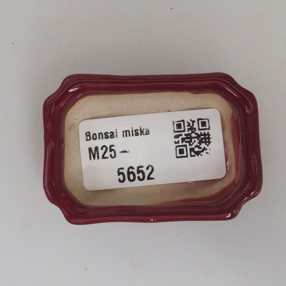 Mini-Bonsaischale 5,5 x 3,5 x 1,5 cm, bordeauxrot