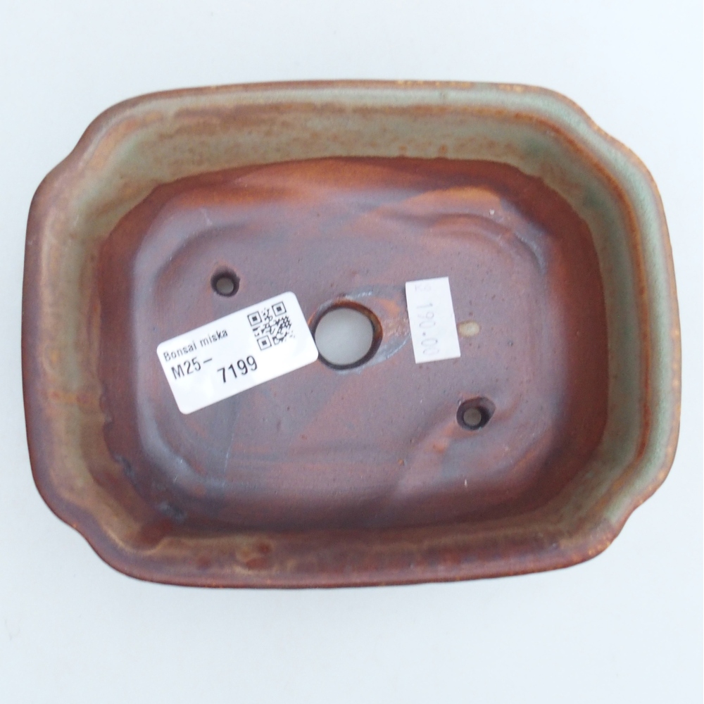 Bonsaischale aus Keramik 16 x 12 x 5 cm, grün