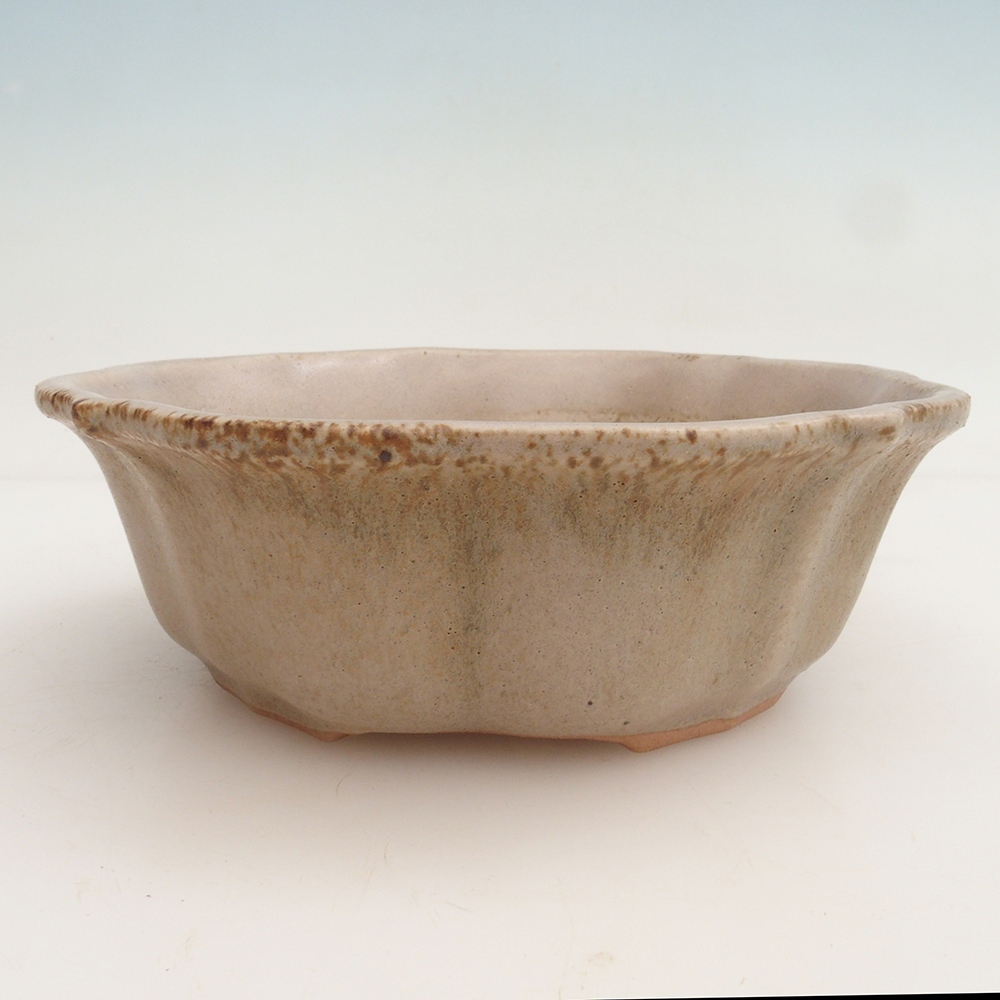 Bonsaischale H06 - 14,5 x 14,5 x 5 cm - beige