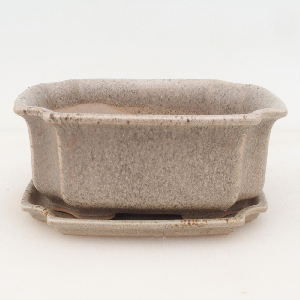 Bonsaischale + Untertasse H01 - beige