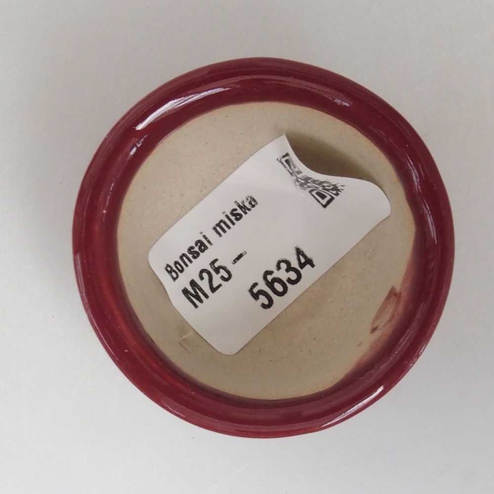 Mini-Bonsaischale 4,5 x 4,5 x 2,5 cm, bordeauxrot