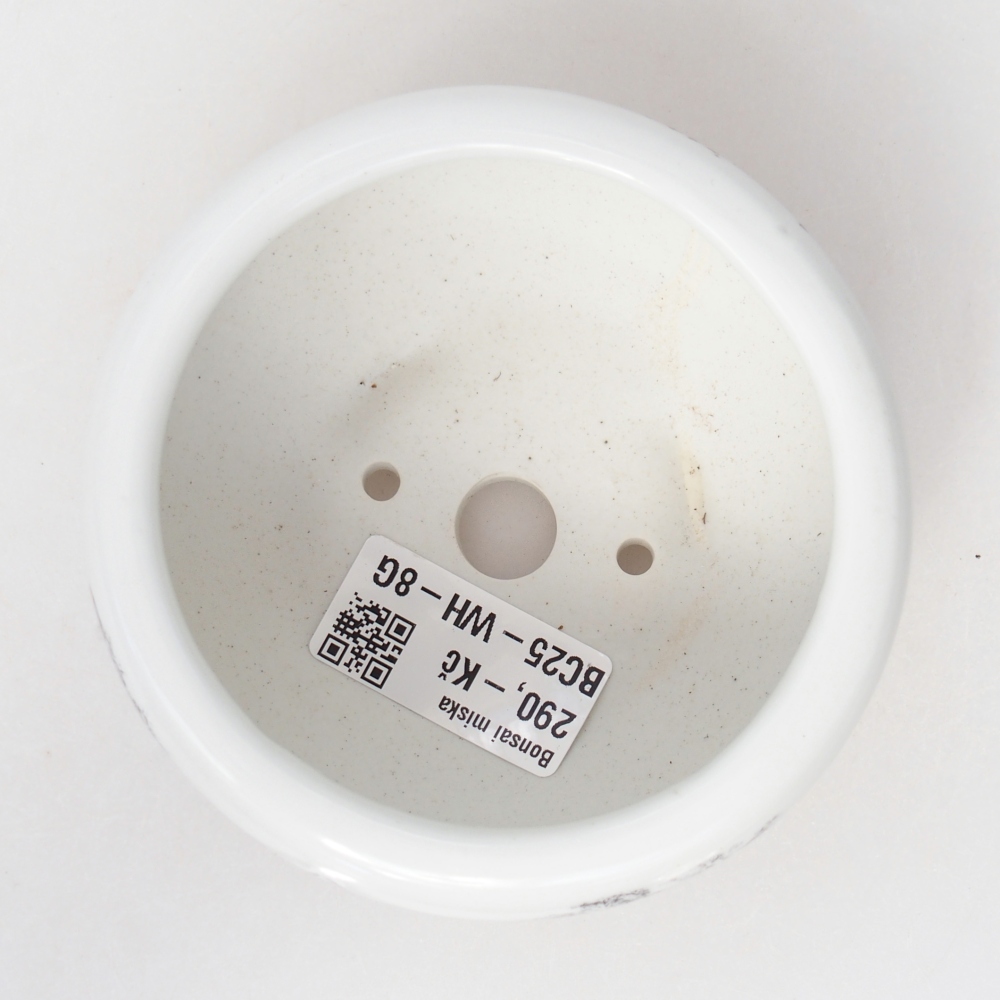 Bonsaischale aus Keramik 10 x 10 x 5 cm, Farbe weiß