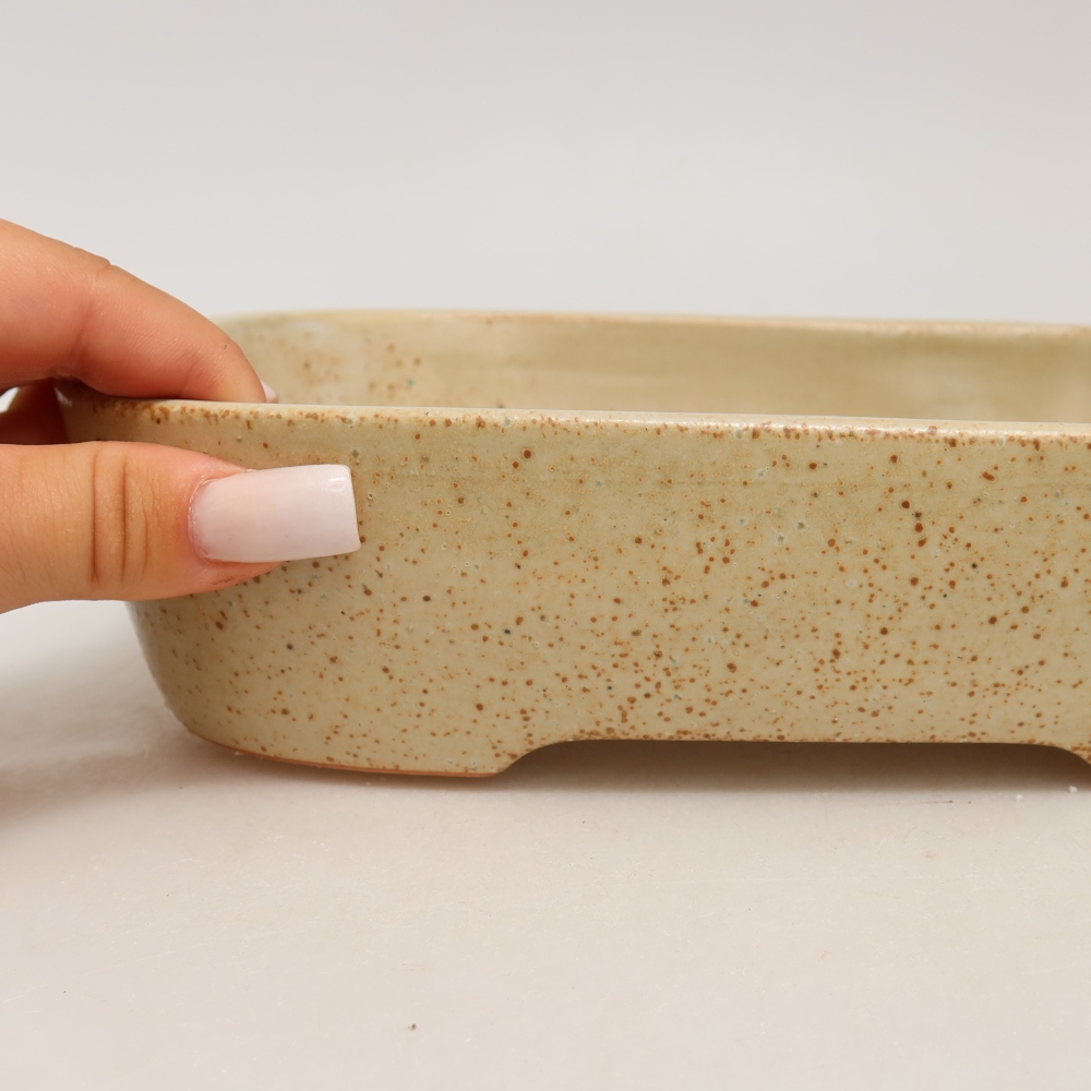 Keramik-Bonsai-Schale 23 x 18 x 5,5 cm, Farbe: Beige