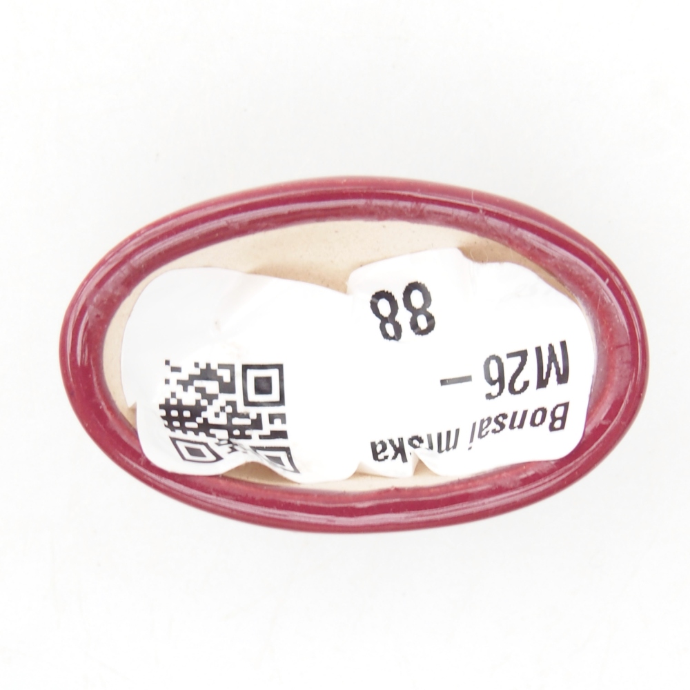 Mini-Bonsaischale 4 x 2,5 x 2 cm, bordeauxrot