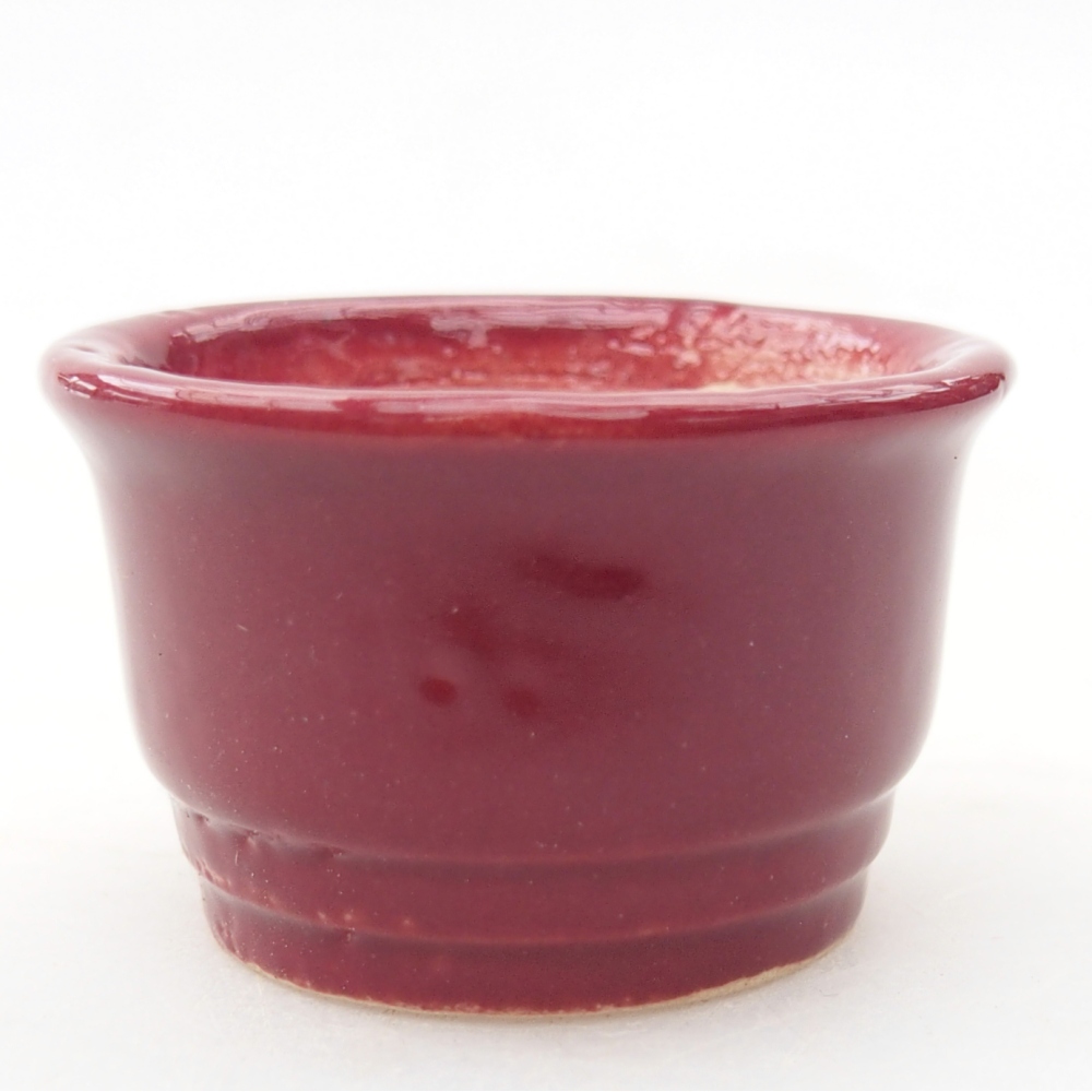 Mini-Bonsaischale 4 x 4 x 2 cm, bordeauxrot