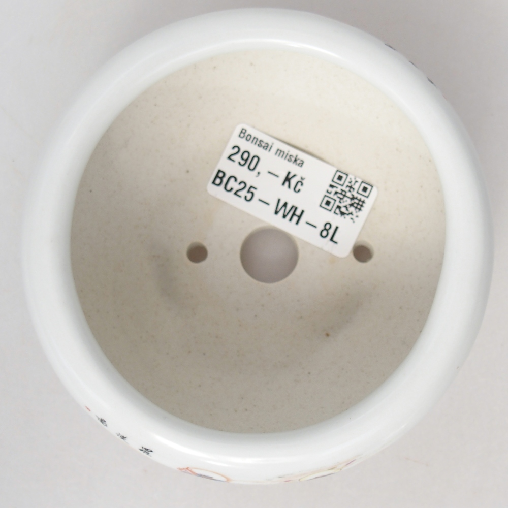 Bonsaischale aus Keramik 10 x 10 x 5 cm, Farbe weiß