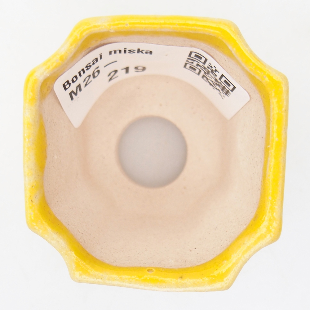 Mini-Bonsaischale 4,5 x 4,5 x 4 cm, gelb