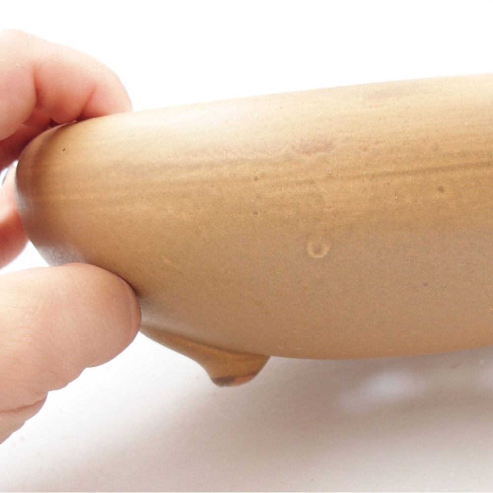 Bonsaischale aus Keramik 21 x 21 x 7,5 cm, Farbe beige