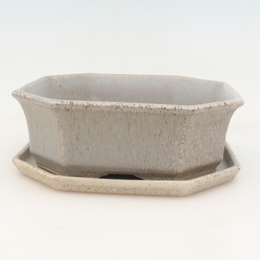 Bonsaischale + Untertasse H14 - beige