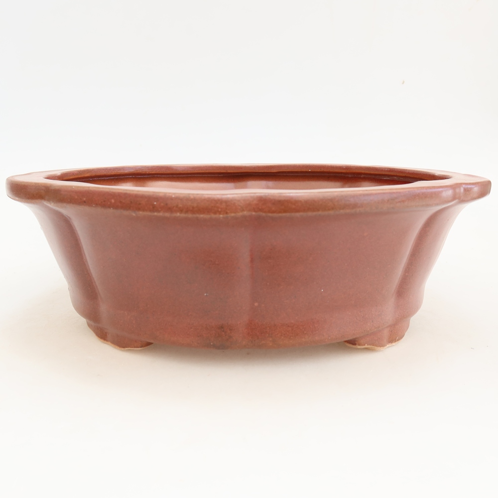 Bonsaischale aus Keramik 26 x 26 x 8 cm, bordeauxrot