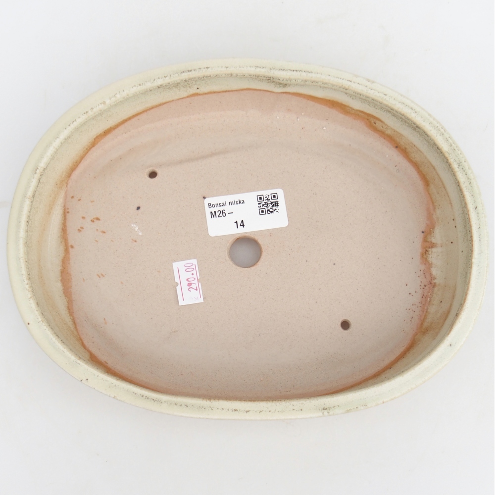 Bonsaischale aus Keramik 22,5 x 17 x 4,5 cm, grün