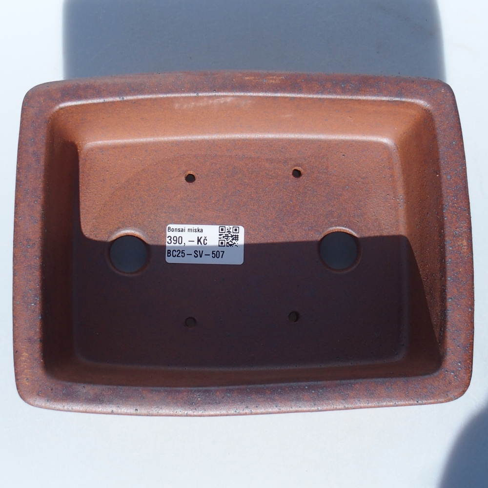 Schale 21 x 16 x 7 cm braun