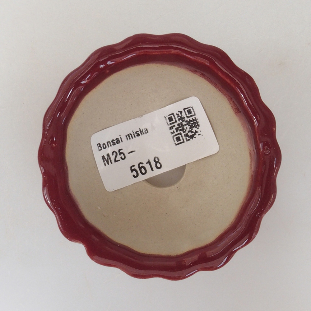 Mini-Bonsaischale 6,5 x 6,5 x 3,5 cm, bordeauxrot