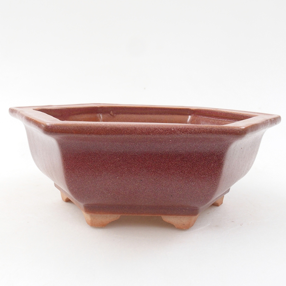 Bonsaischale aus Keramik 14 x 11 x 4 cm, bordeauxrot