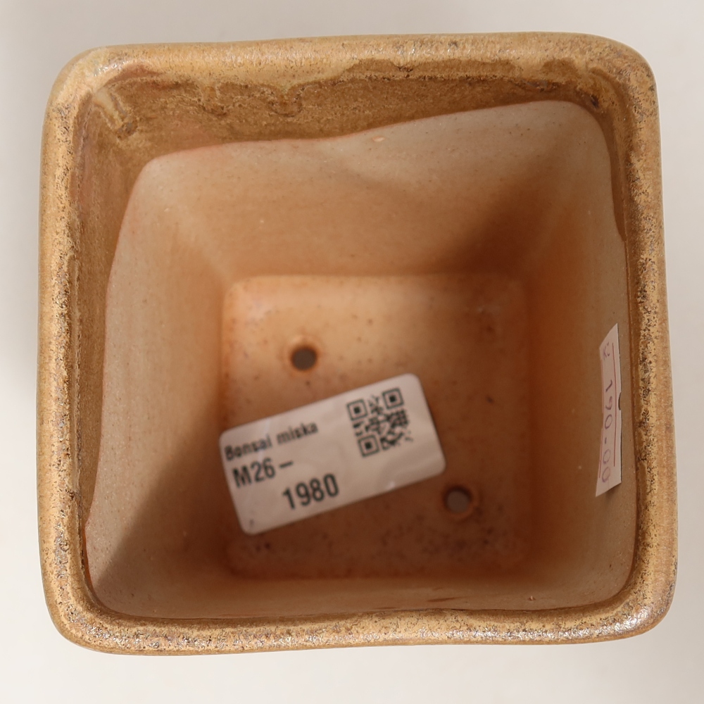Bonsai-Schale aus Keramik, 7,5 x 7,5 x 10,5 cm, Farbe: Beige