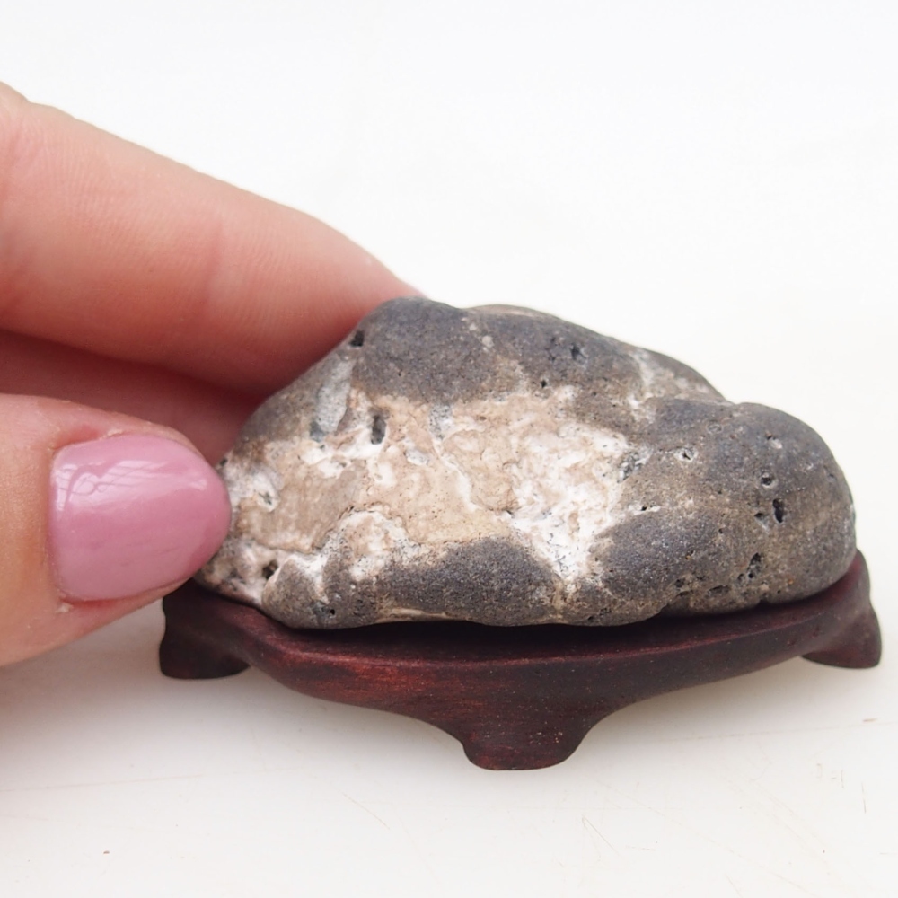 Suiseki - Stein mit DAI (Holzsockel)