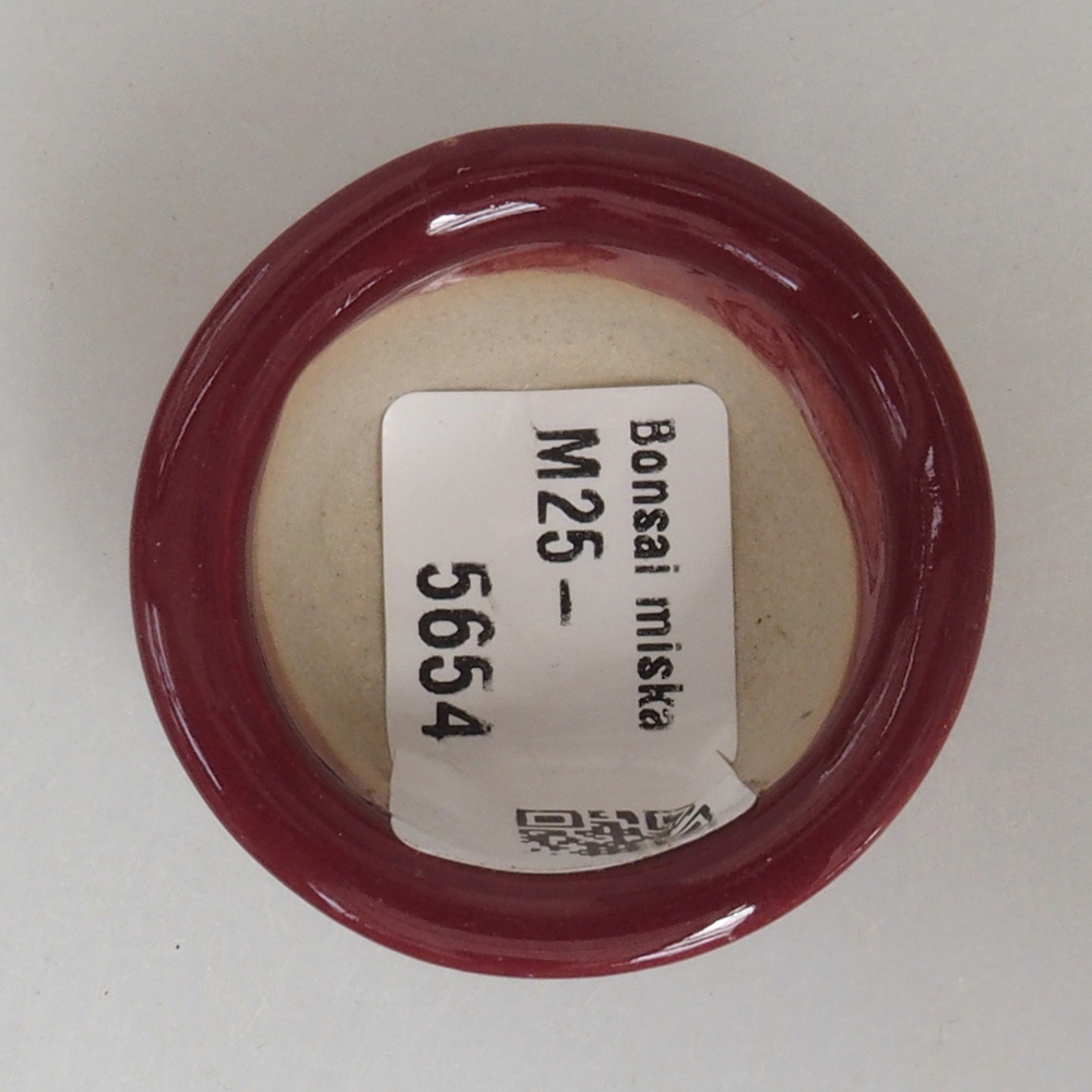 Mini-Bonsaischale 4 x 4 x 2 cm, bordeauxrot