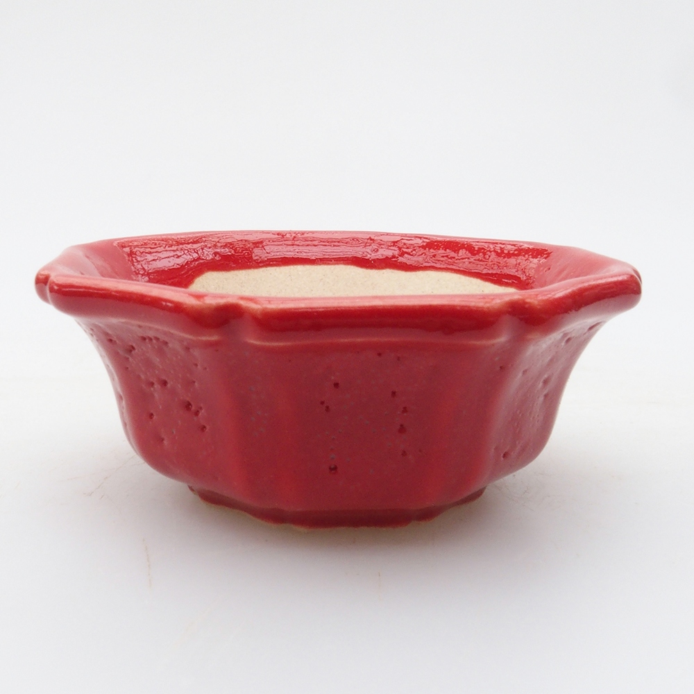 Mini-Bonsaischale 6 x 6 x 2 cm, Farbe rot