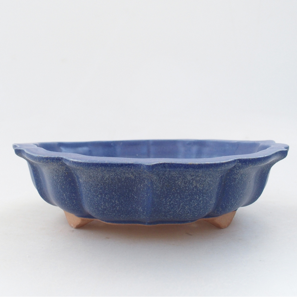 Bonsaischale aus Keramik 19 x 19 x 5 cm, Farbe blau