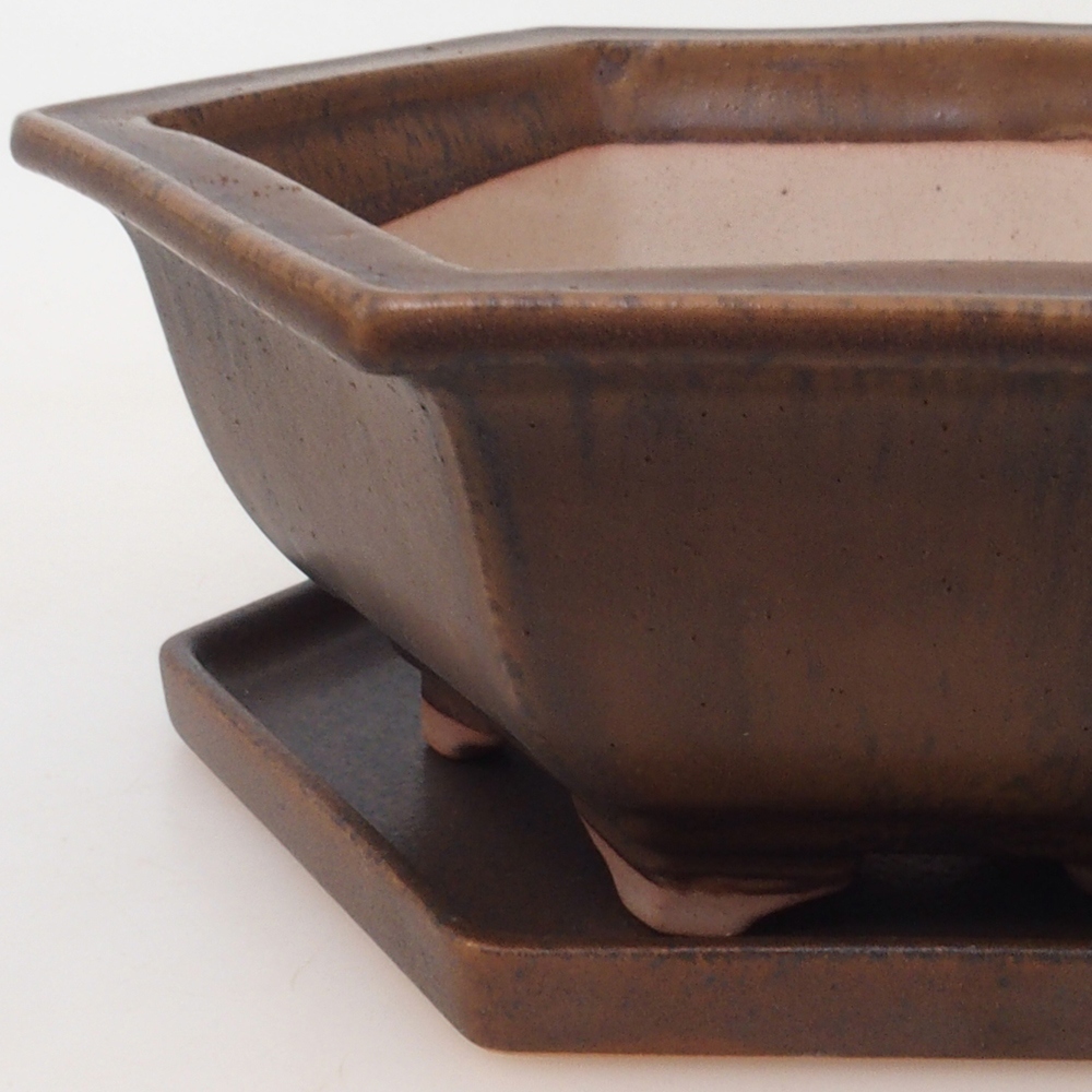 Bonsaischale + Untertasse H53 - 19 x 21,5 x 7 cm - braun