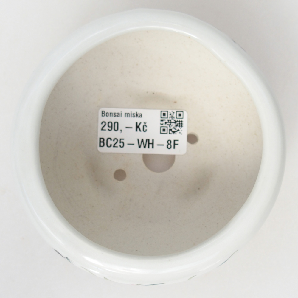 Bonsaischale aus Keramik 10 x 10 x 5 cm, Farbe weiß