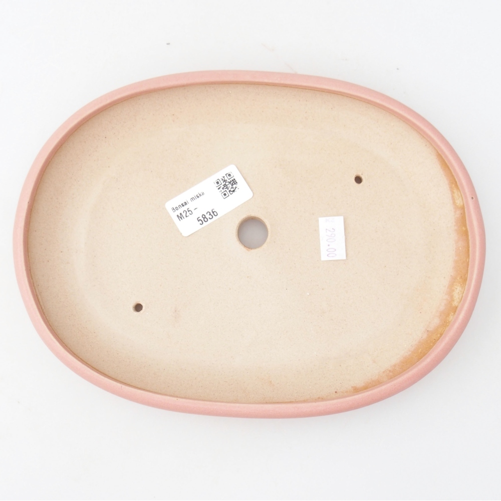 Bonsaischale aus Keramik 22,5 x 17 x 3 cm, rosa