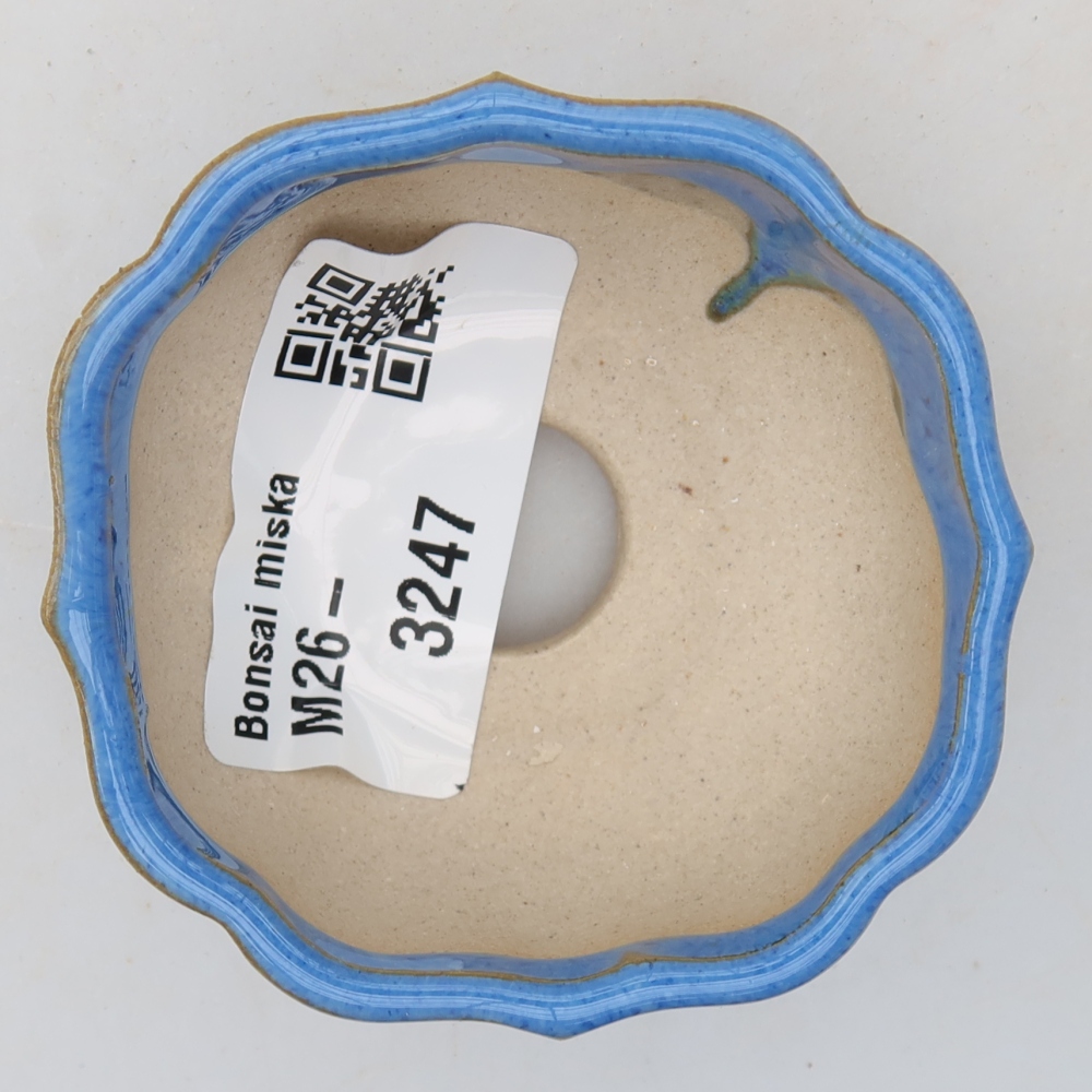 Keramik-Bonsai-Schale, 6 x 6 x 3 cm, Farbe: Blau