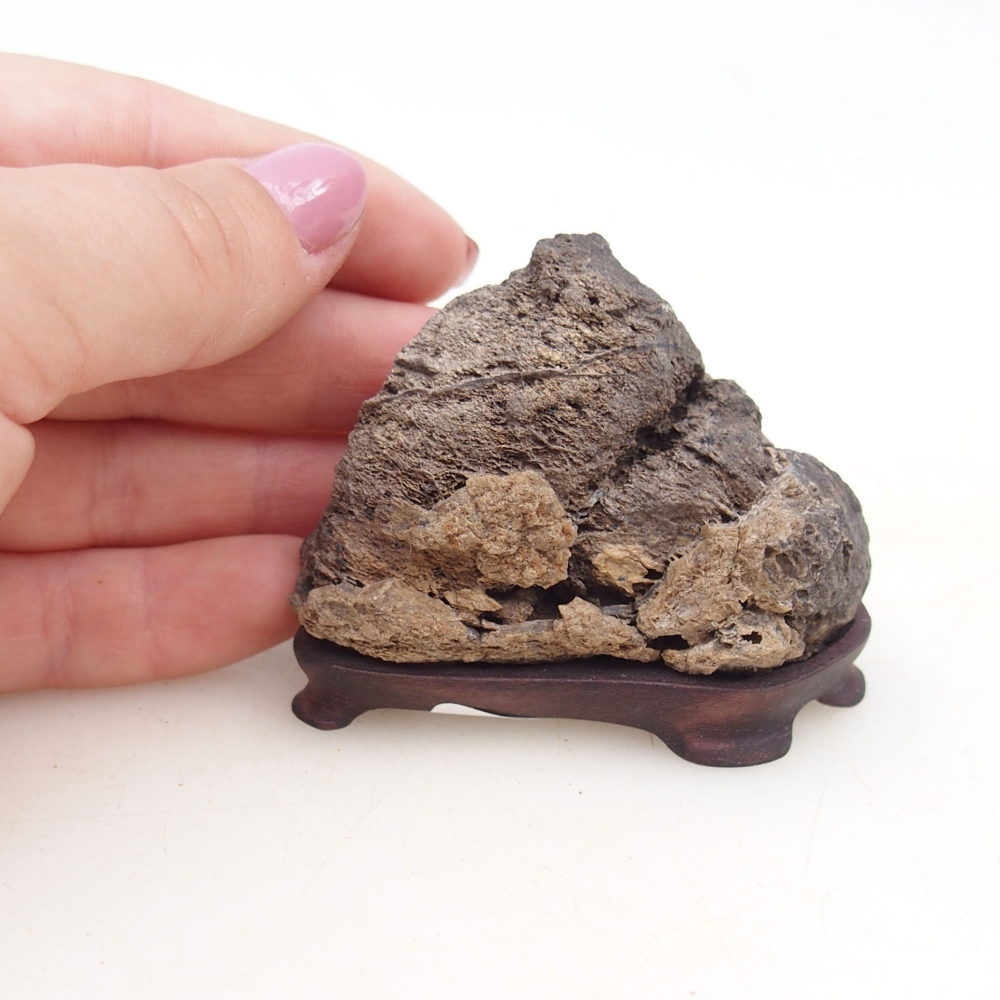 Suiseki - Stein mit DAI (Holzsockel)
