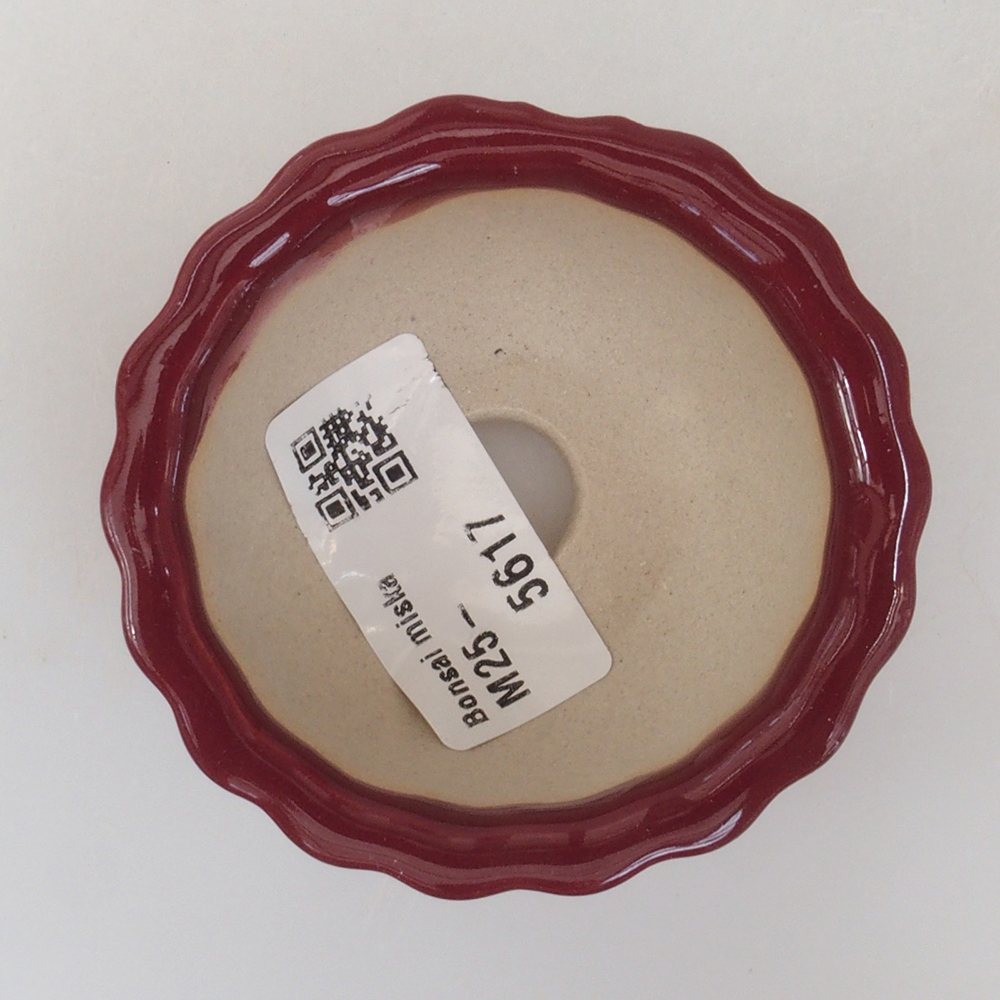 Mini-Bonsaischale 6,5 x 6,5 x 3,5 cm, bordeauxrot