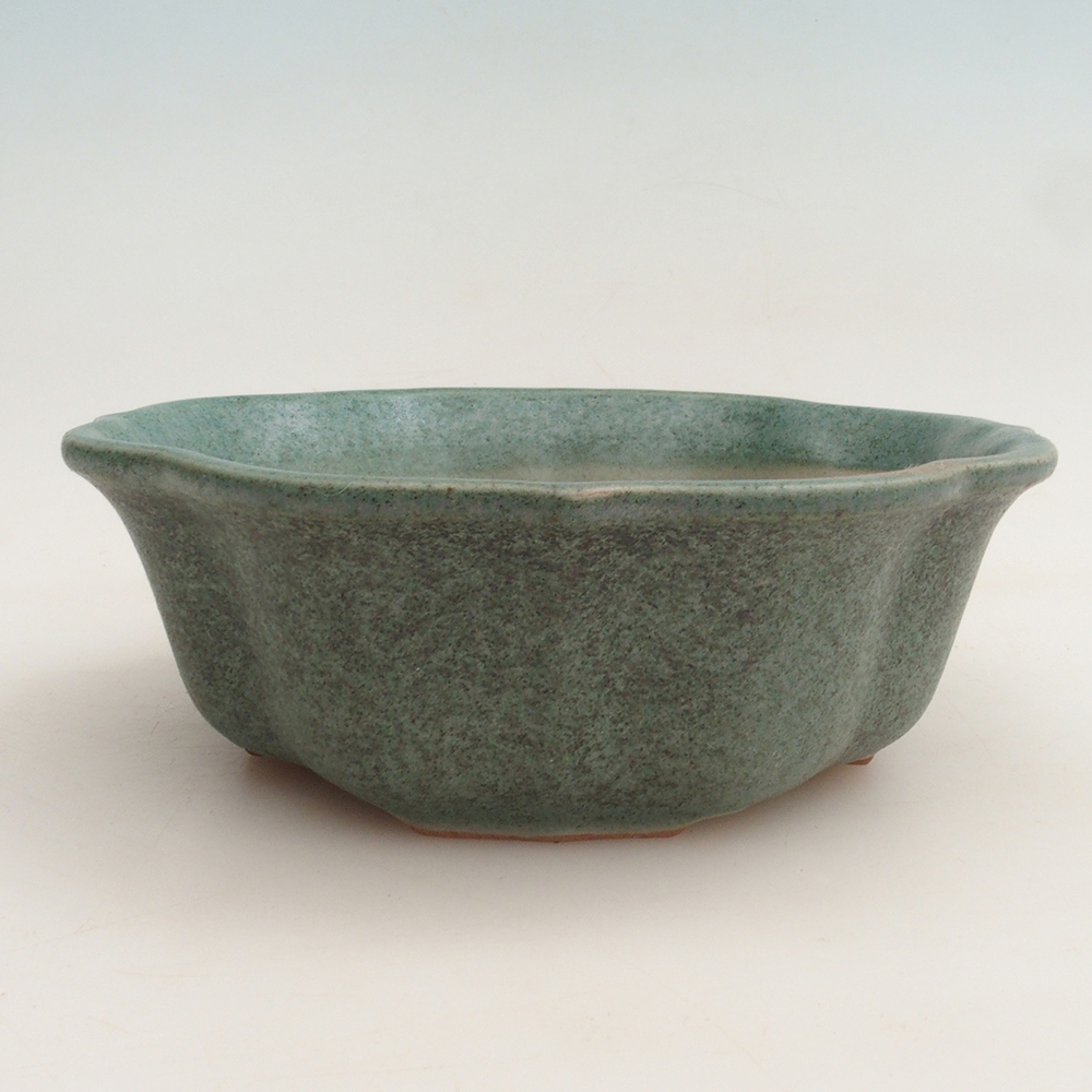 Bonsaischale + Untertasse H06 - 14,5 x 14,5 x 5 cm - grün