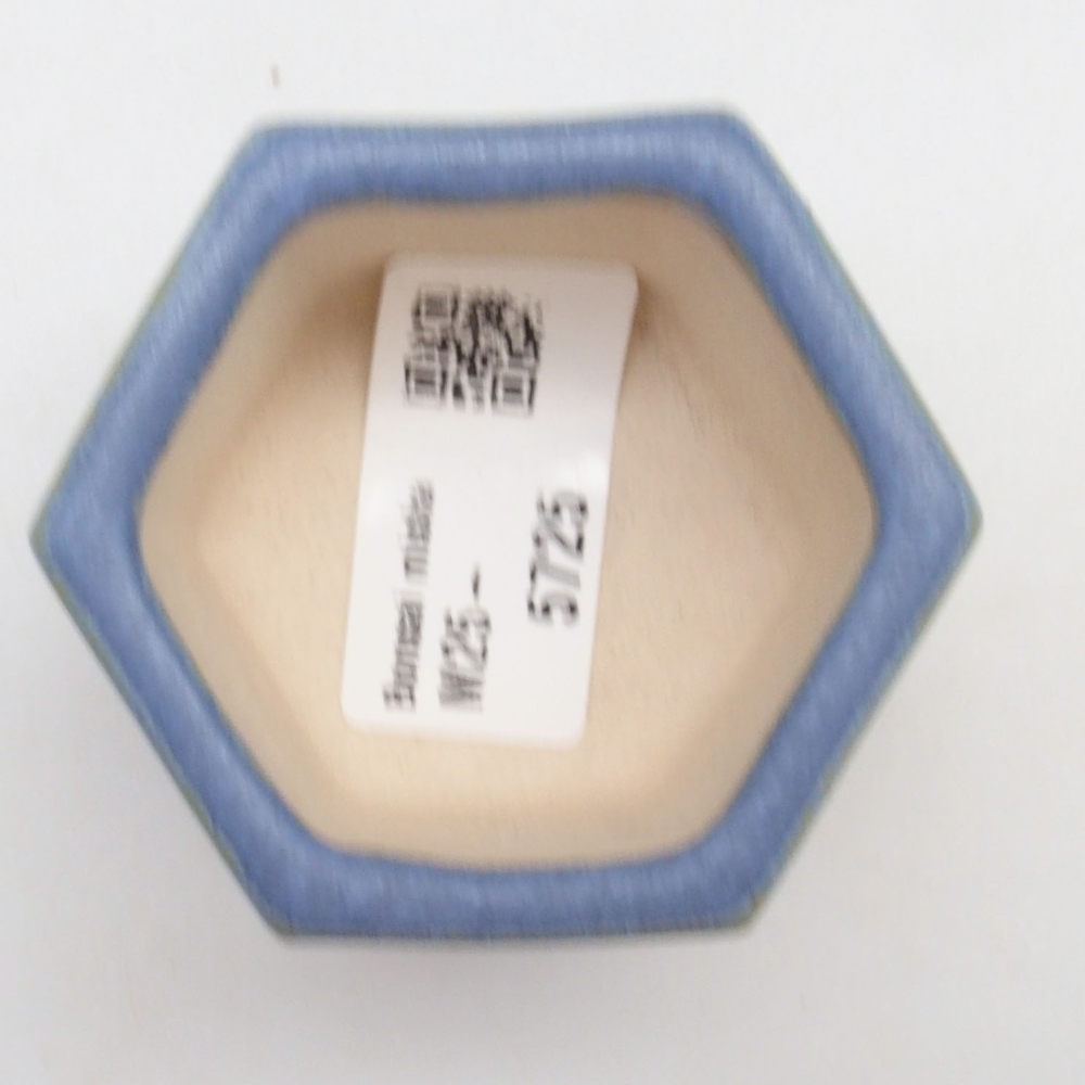 Mini-Bonsaischale 6 x 5,5 x 4 cm, Farbe blau