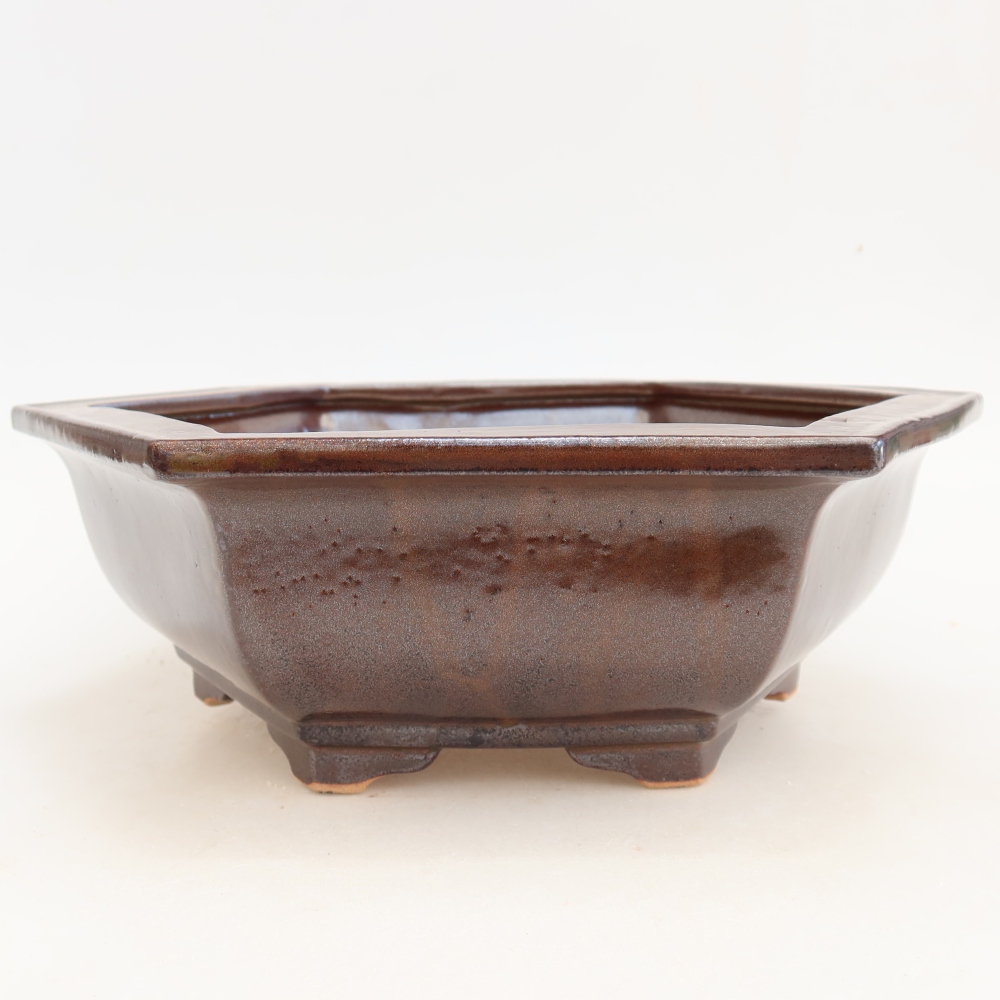 Keramik-Bonsai-Schale 28 x 24,5 x 9 cm, Farbe: weinrot