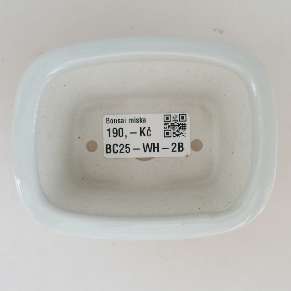 Mini-Bonsaischale 10 x 7,5 x 4 cm, Farbe weiß