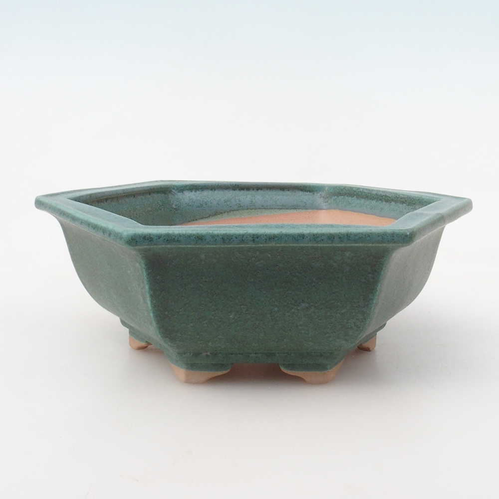 Bonsaischale + Untertasse H53 - 19 x 21,5 x 7 cm - grün