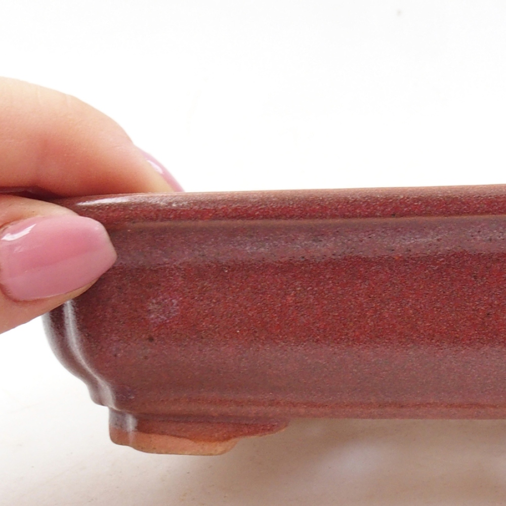 Bonsaischale aus Keramik 14 x 11 x 4 cm, bordeauxrot