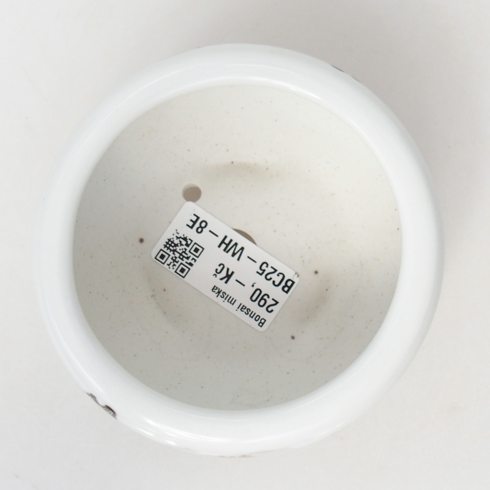 Bonsaischale aus Keramik 10 x 10 x 5 cm, Farbe weiß