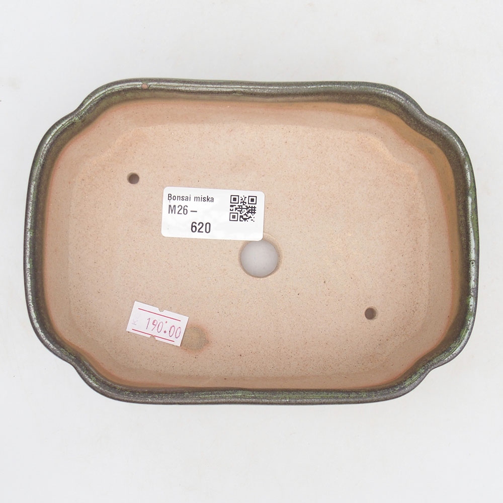 Bonsaischale aus Keramik 16 x 11,5 x 4,5 cm, grün