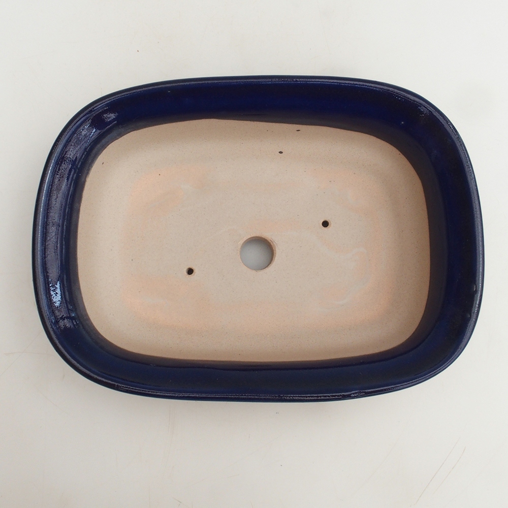 Bonsaischale H25 - 23 x 17 x 5,5 cm - blau