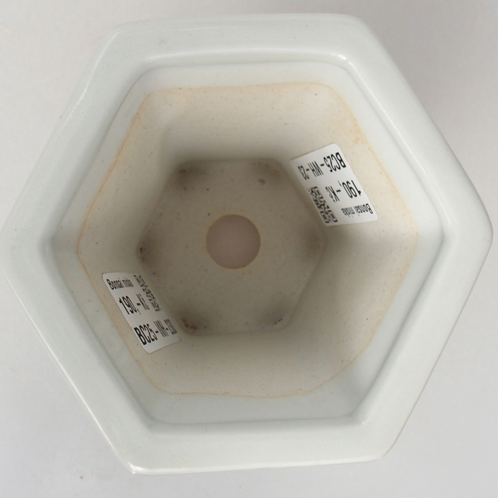 Bonsaischale aus Keramik 10 x 9 x 9 cm, Farbe weiß