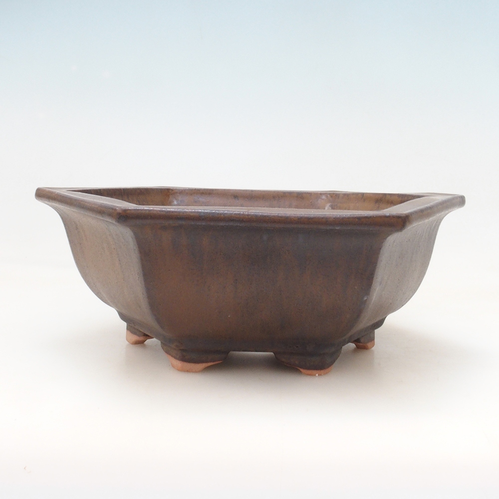 Bonsaischale + Untertasse H53 - 19 x 21,5 x 7 cm - braun