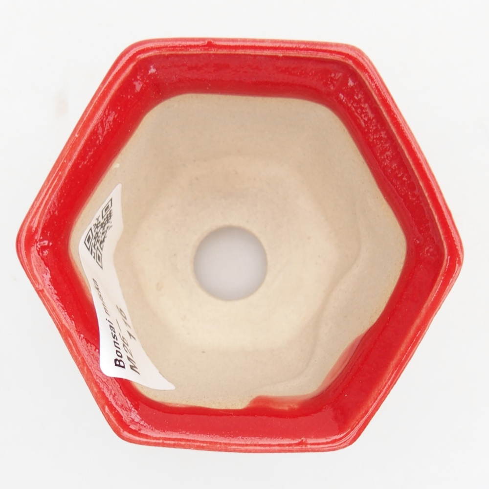 Mini-Bonsaischale 7 x 6,5 x 5 cm, Farbe rot