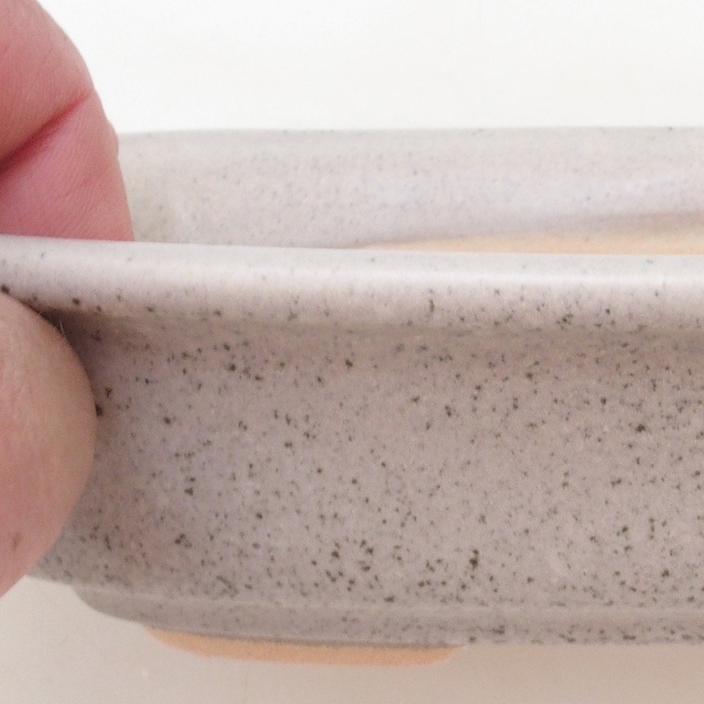 Bonsaischale H02 - 19 x 13 x 5 cm - beige