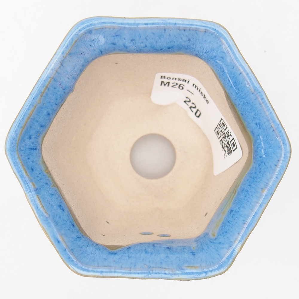 Mini-Bonsaischale 4 x 6,5 x 5 cm, Farbe blau