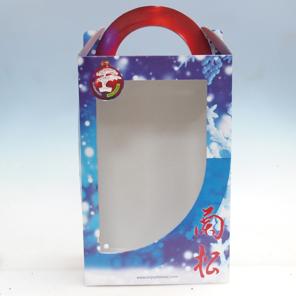 Geschenk-Bonsai-Box - Papier